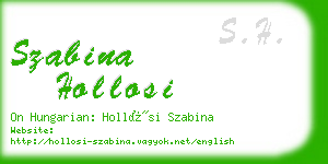 szabina hollosi business card